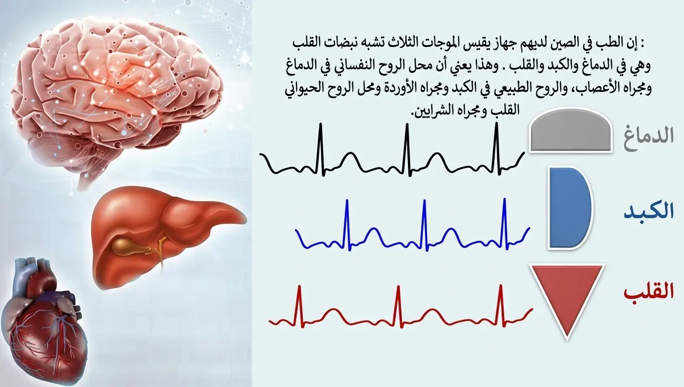البطاقة الرابعة عشرة - الطب في الصين وموجات الدماغ والكبد والقلب