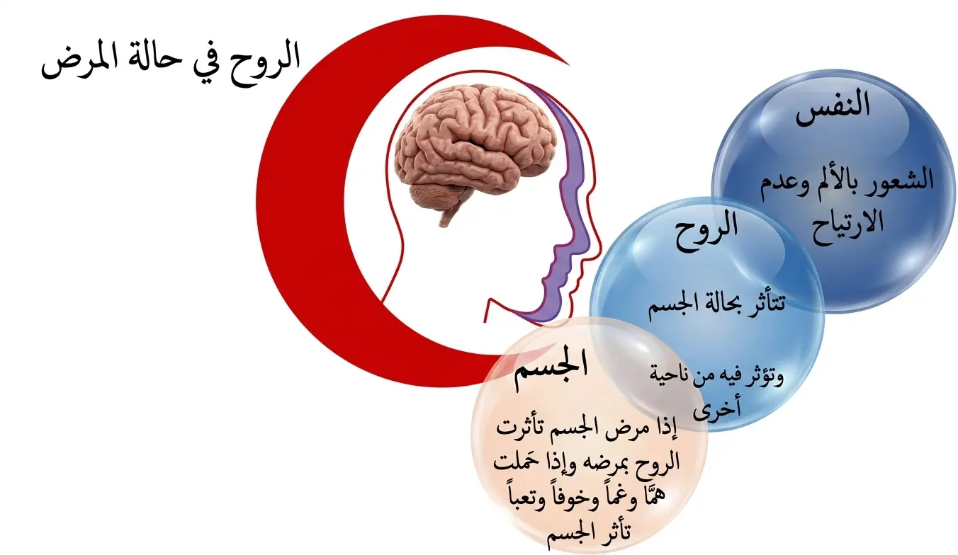 البطاقة السادسة عشرة - الروح في حالة المرض